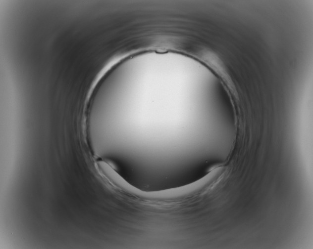 X0000083591340200703091711