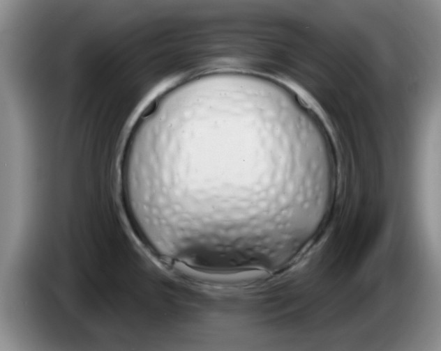 X0000083591341200703091711