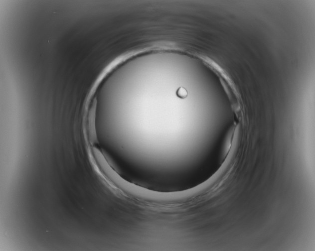 X0000083591342200703091711