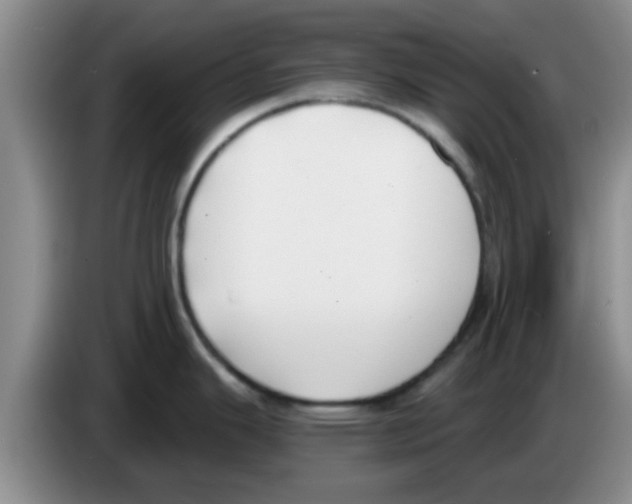 X0000083591343200703091711