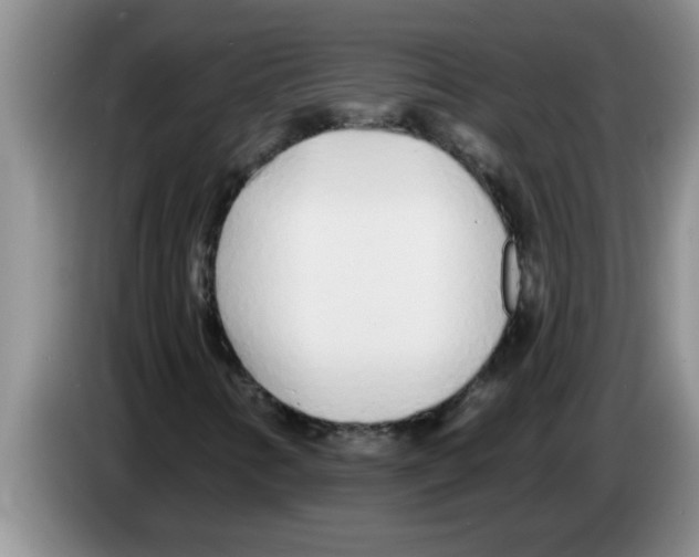 X0000083591346200703091711