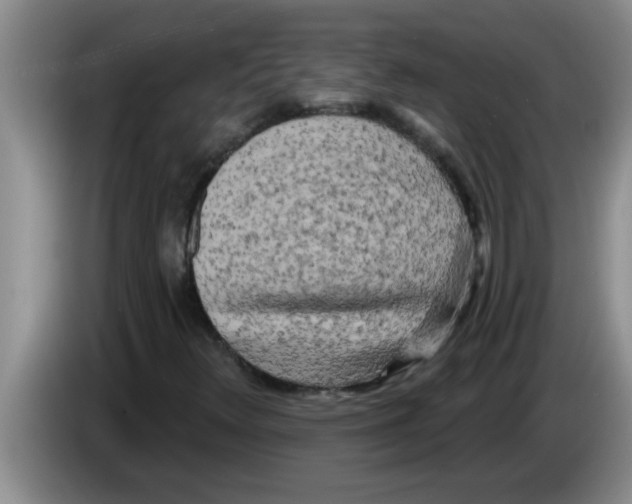 X0000083591348200703091711