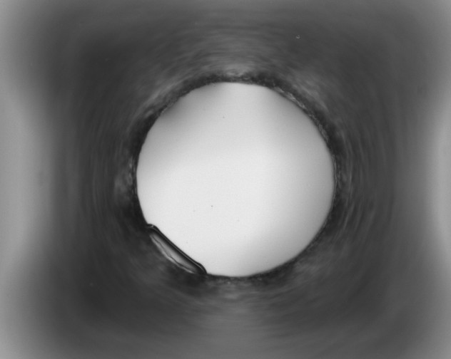 X0000083591349200703091710
