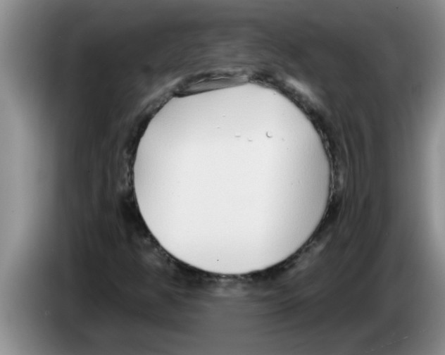X0000083591350200703091710