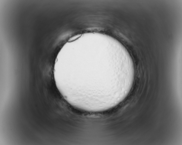 X0000083591351200703091710