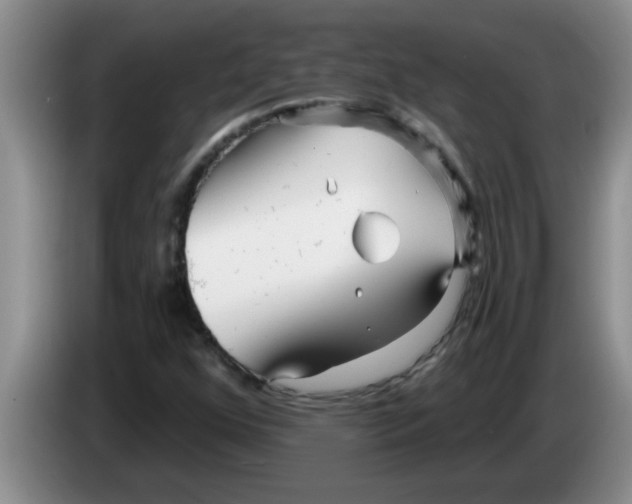 X0000083591352200703091710