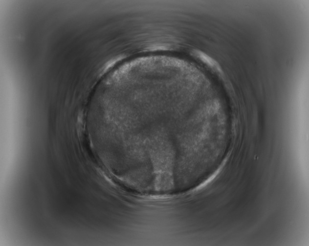 X0000083591353200703091710