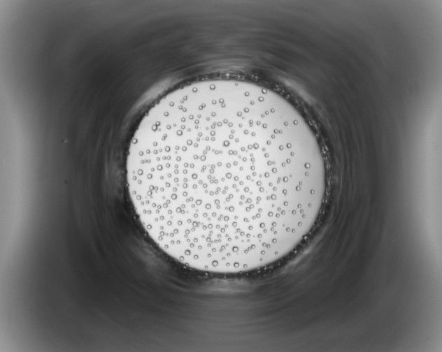 X0000083591354200703091710