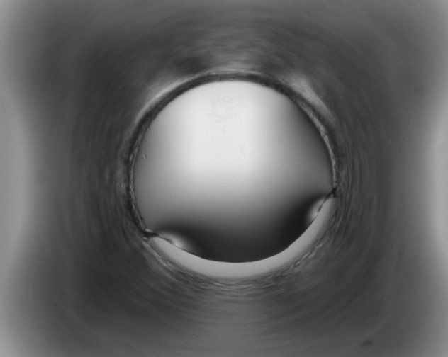 X0000083591356200703091710