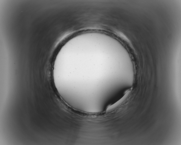 X0000083591360200703091710