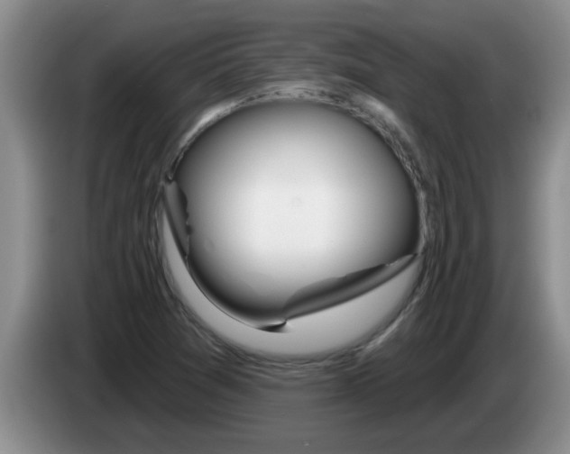 X0000083591361200703091710