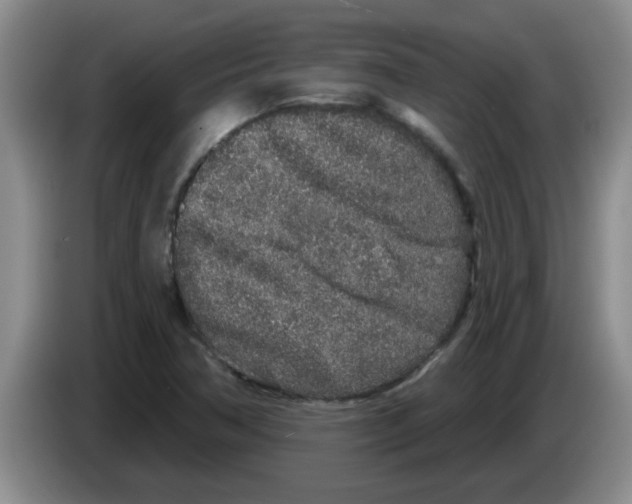 X0000083591362200703091710