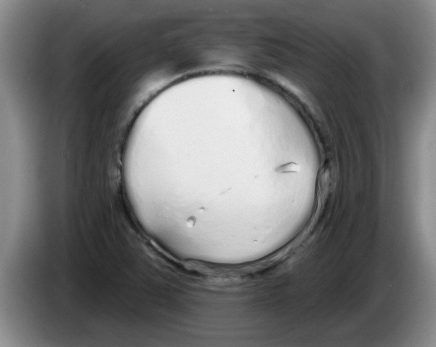 X0000083591363200703091710