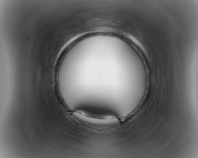 X0000083591364200703091710