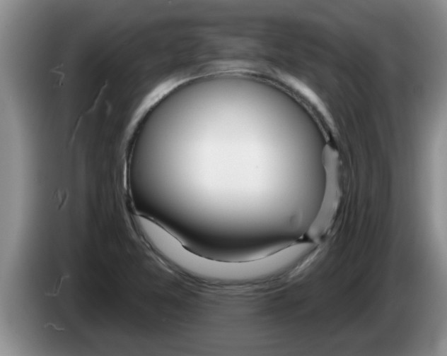 X0000083591365200703091710