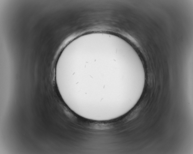 X0000083591366200703091710