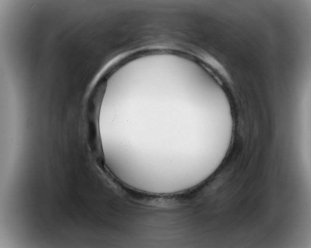X0000083591368200703091710