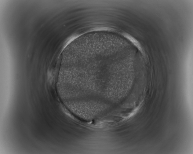 X0000083591369200703091710