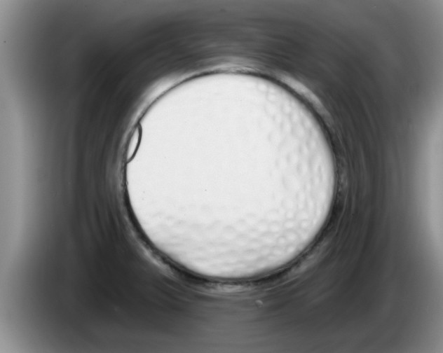 X0000083591375200703091710