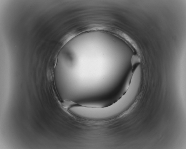 X0000083591377200703091710