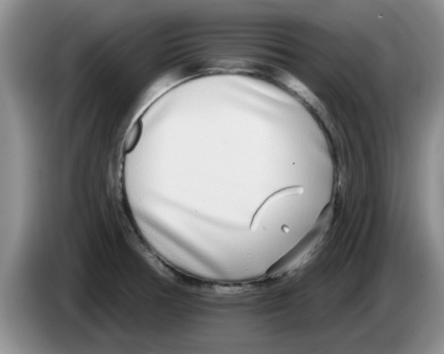 X0000083591378200703091710