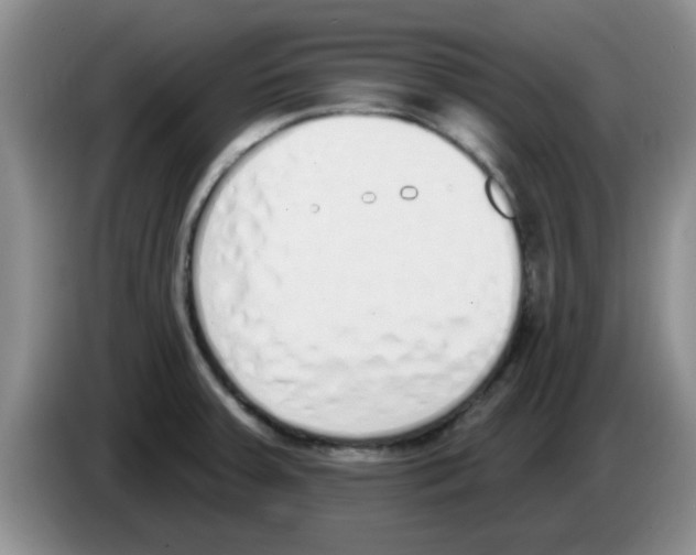 X0000083591379200703091710