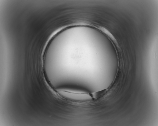 X0000083591380200703091710