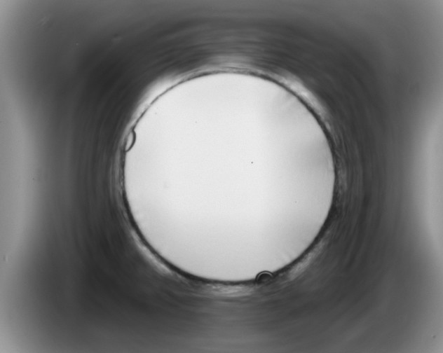 X0000083591382200703091710