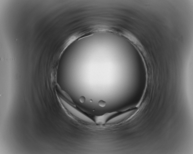 X0000083591385200703091710