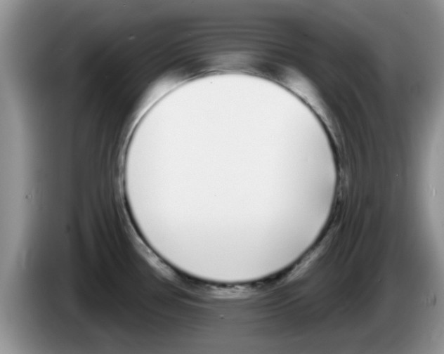 X0000083591386200703091710