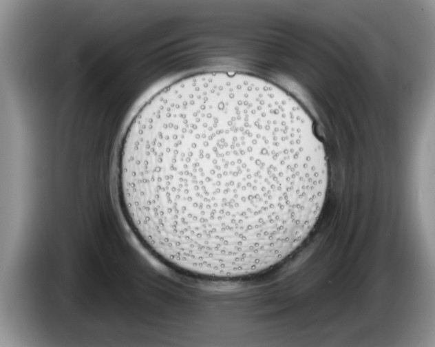 X0000083591387200703091710