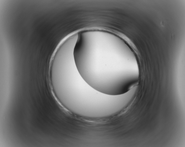 X0000083591388200703091710