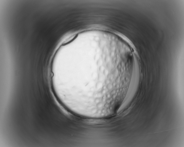 X0000083591391200703091710