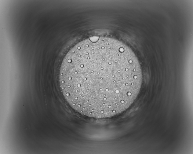 X0000083591393200703091709