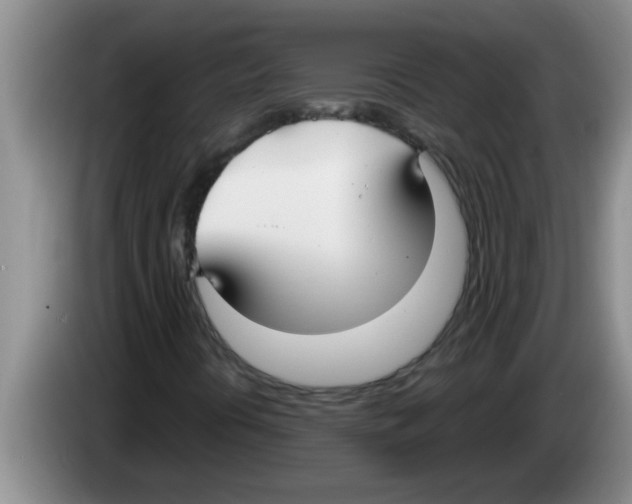 X0000083591394200703091709