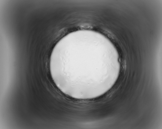 X0000083591396200703091709