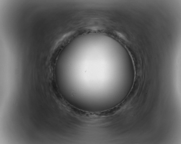 X0000083591398200703091709