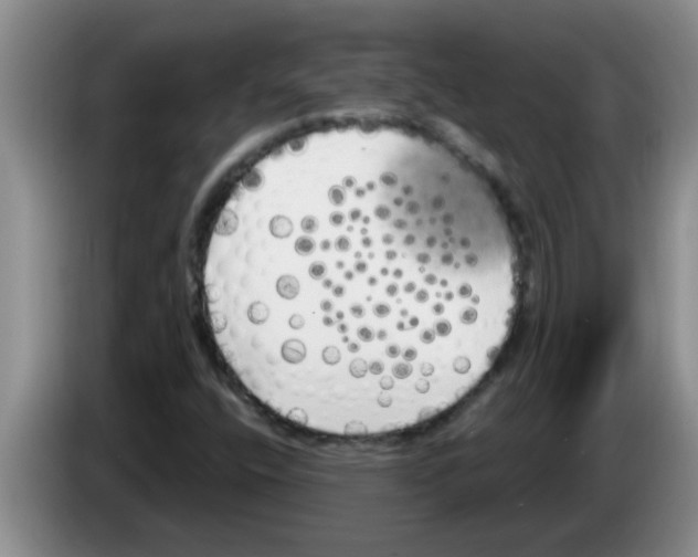 X0000083591400200703091709