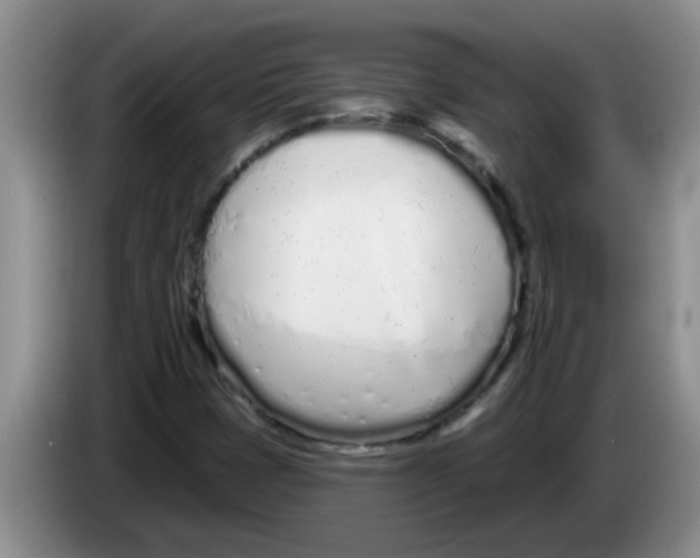 X0000083591401200703091709