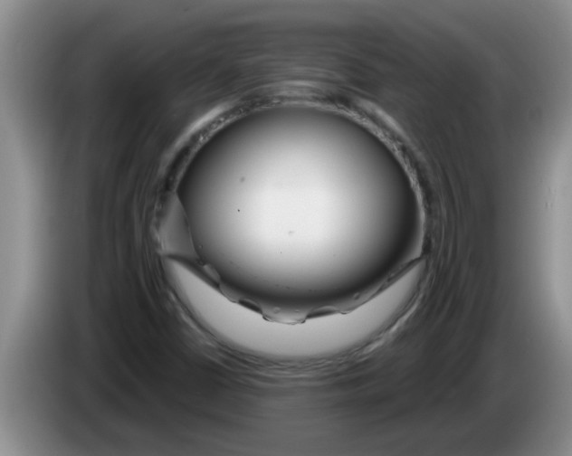 X0000083591402200703091709