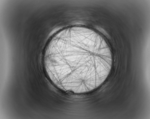 X0000083591404200703091709