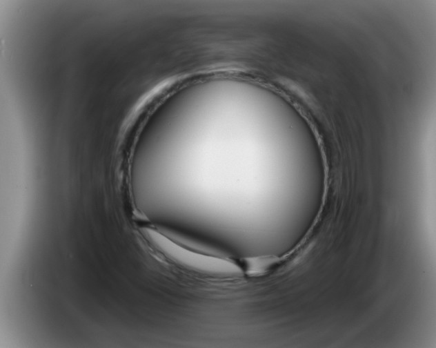 X0000083591406200703091709