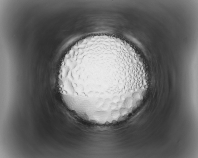 X0000083591407200703091709