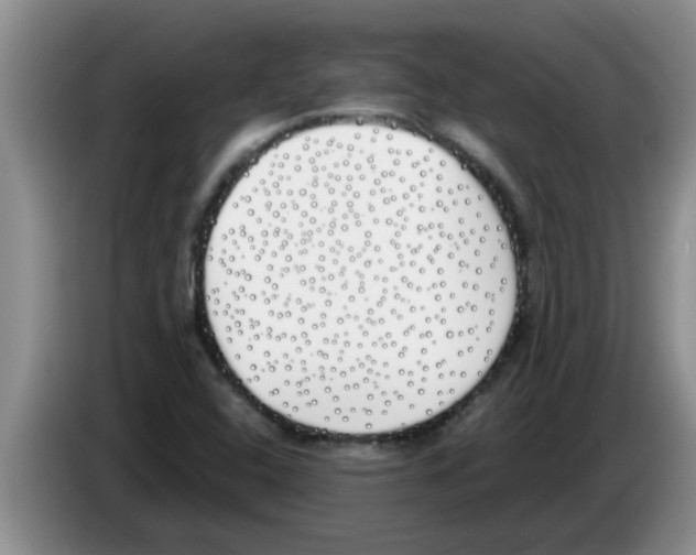 X0000083591408200703091709