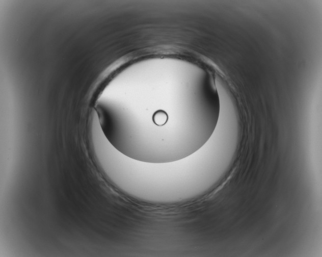 X0000083591410200703091709