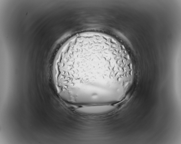 X0000083591411200703091710