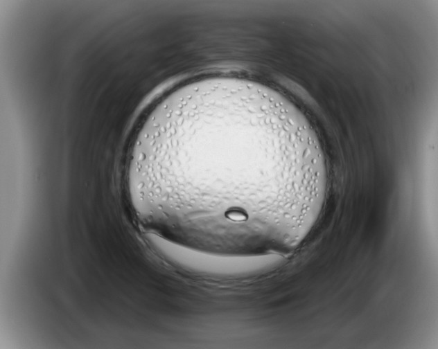 X0000083591412200703091710