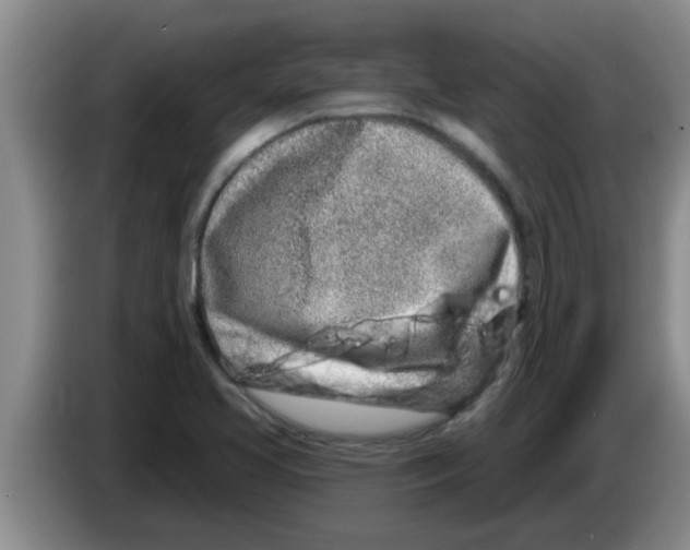 X0000083591413200703091710