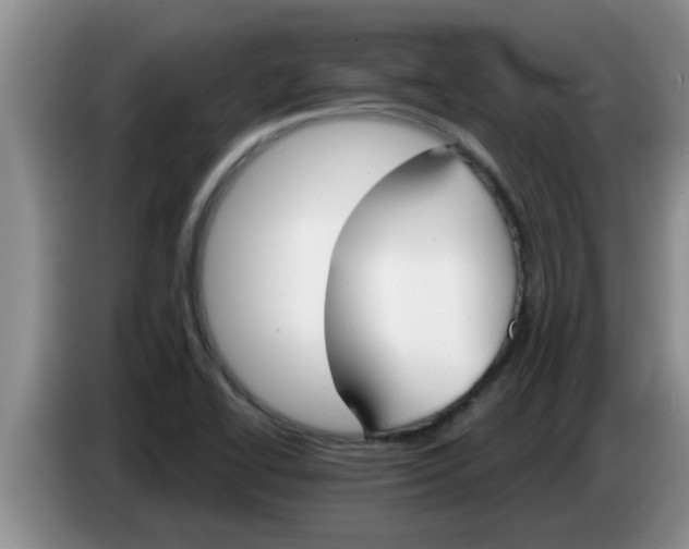 X0000083591414200703091710