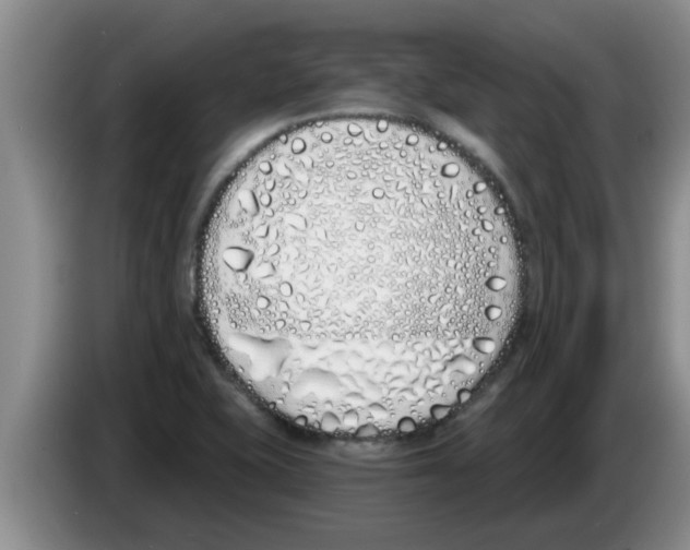 X0000083591415200703091710